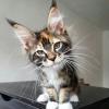 Music from 90-20..... - last post by jīng